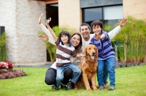 Fundamental Pet Care That You Should Know About 4